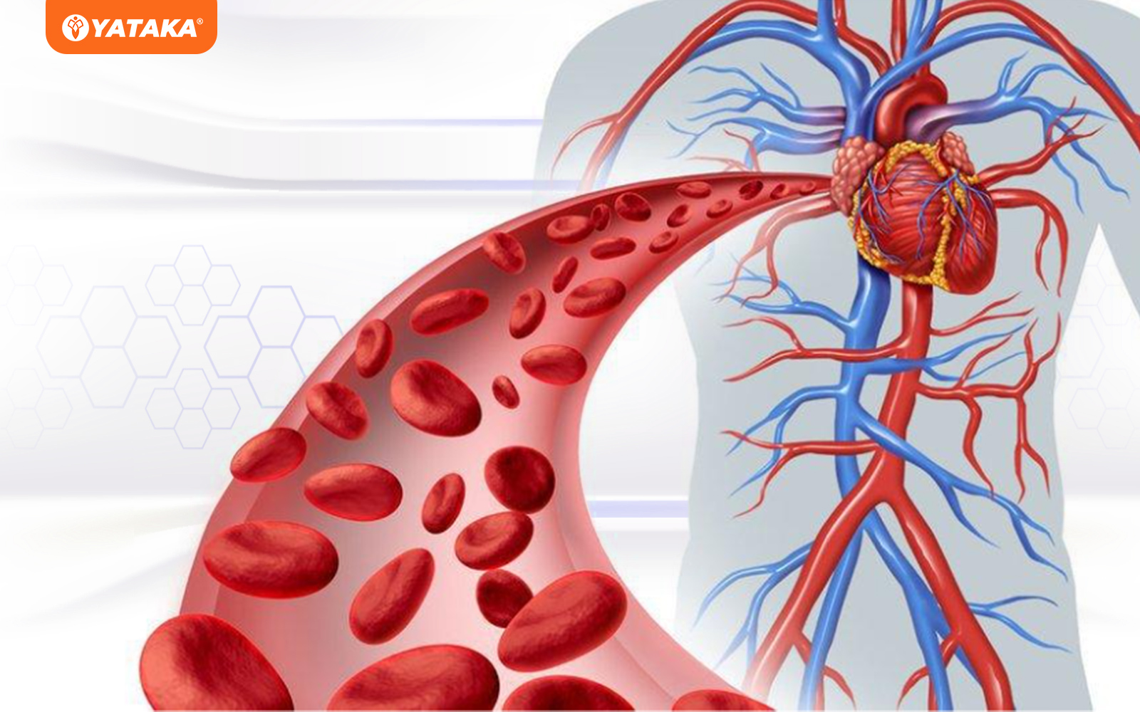 Ghế massage trị liệu hỗ trợ lưu thông máu